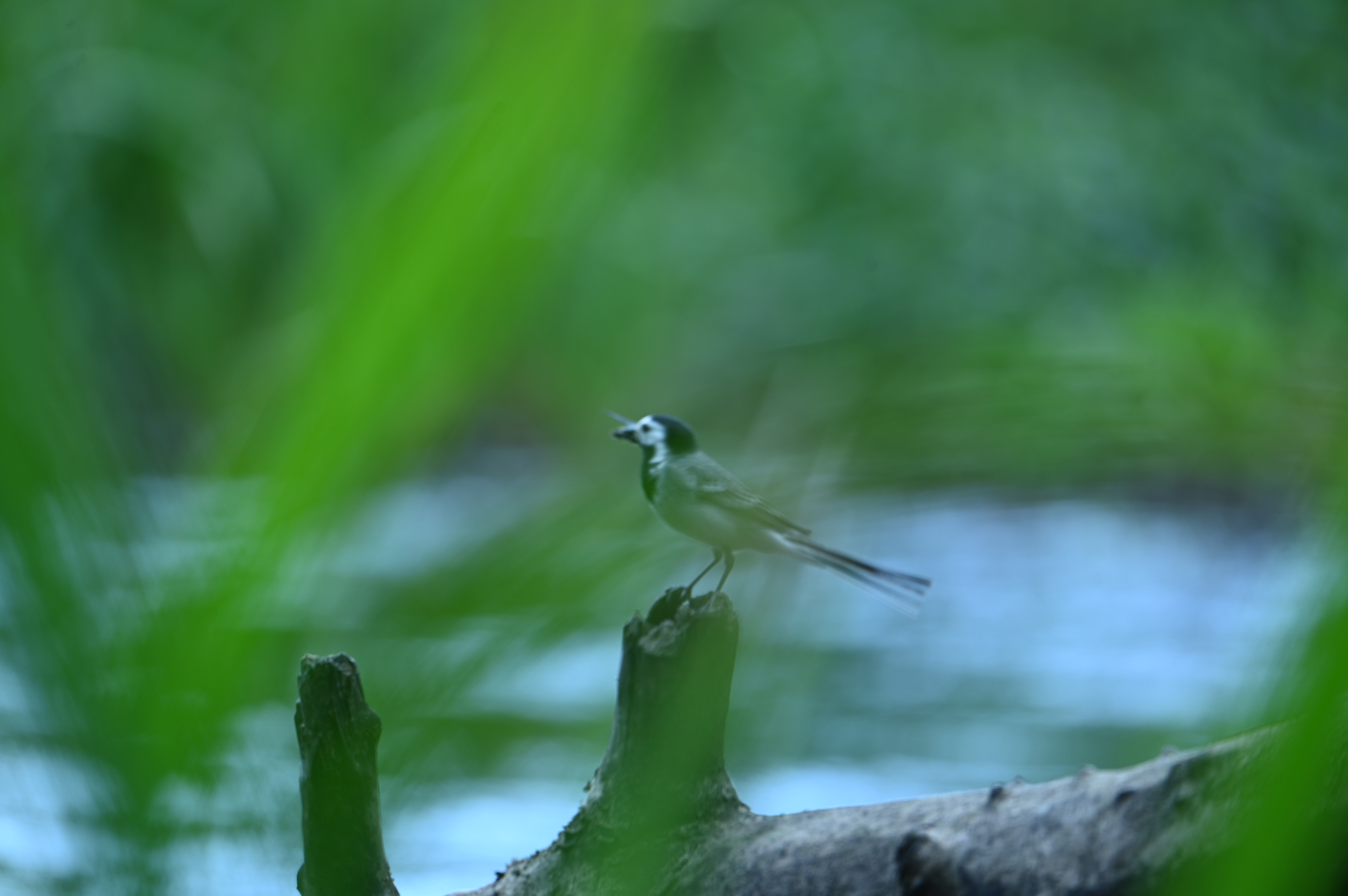 2025/07/09-14 - trip/DSC_0426.JPG